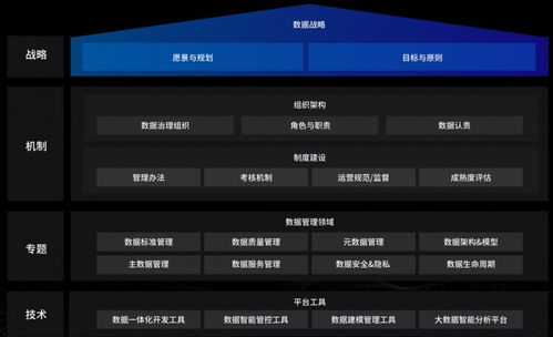 洞見(jiàn)未來(lái)，駕馭數(shù)據(jù) 國(guó)內(nèi)優(yōu)秀數(shù)據(jù)治理服務(wù)商及軟件開(kāi)發(fā)指南