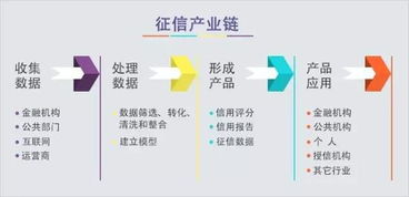 征信行業(yè)雛形初現(xiàn) 數(shù)據(jù)處理服務(wù)驅(qū)動(dòng)下的四大發(fā)展趨勢